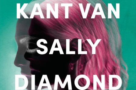 De donkere kant van Sally Diamond – Liz Nugent