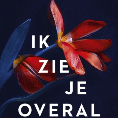 Ik zie je overal – Lisa Gardner