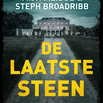 De laatste steen – M.J. Arlidge en Steph Broadribb